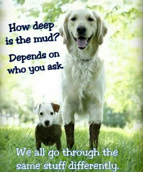 how_deep_is_the_mud.jpg