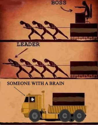 Boss, leader, brain