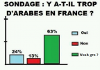 Sondage arabes en France