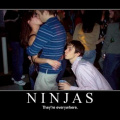 ninjas_everywhere.jpg