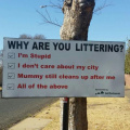 Why are you littering? (city version)