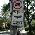 Neighbourhood watch with Batman
