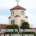 church_of_stunned_chicken.jpg