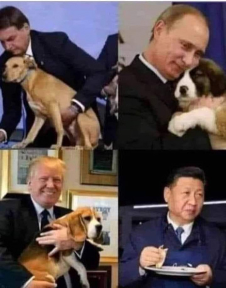 dogs_and_presidents.jpeg