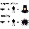 bat_plus_man_expectation_vs_reality.jpg