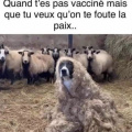 pas_vacciné_en_paix.jpg