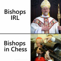 Bishops IRL vs bishops in chess