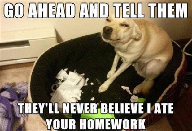 tell_them_dog_ate_your_homework.jpg
