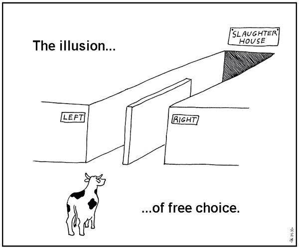 illusion_of_free_choice.jpg
