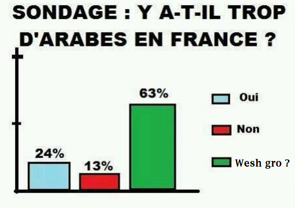 sondage_arabes_en_france.png
