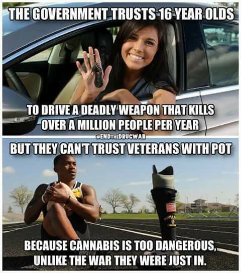cannabis_too_dangerous.jpg
