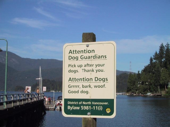 Attention dog guardians