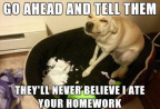 Tell them I ate your homework
