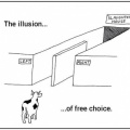 The illusion of free choice