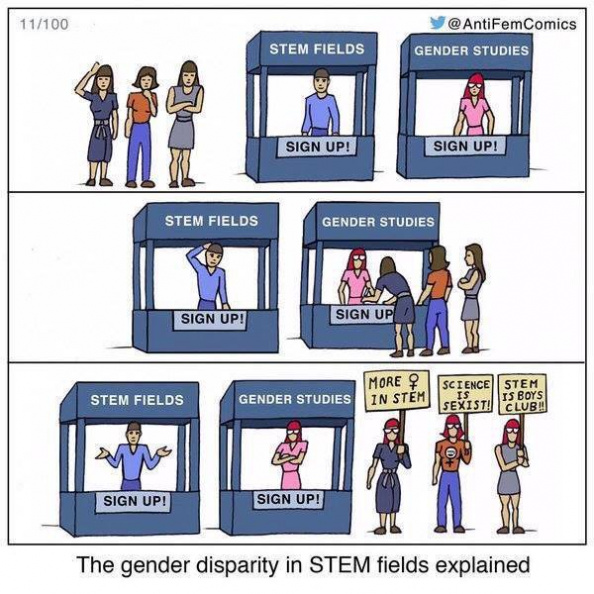 gender_disparity_in_STEM_why.jpg