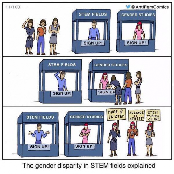 The gender disparity in STEM explained