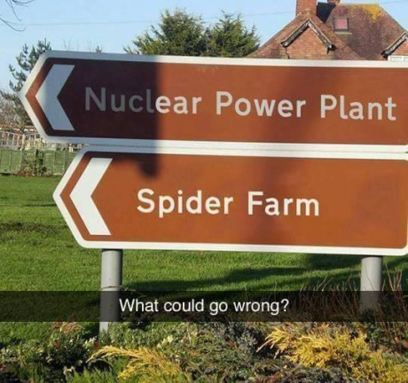 Nuclear power plant plus spider farm