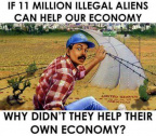 Can illegal aliens help our economy?