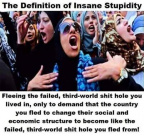 Defintion of stupidity