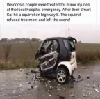 Smart car vs squirrel