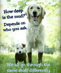 How deep is the mud?