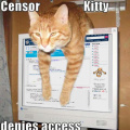 Pastebin's censor kitty