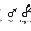 Female vs male vs engineer