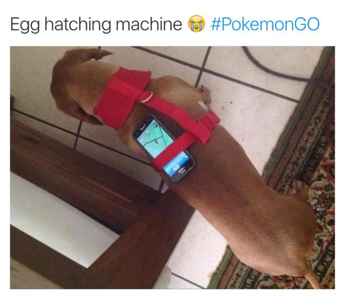 pokemon_go_egg_hatching_machine.jpg