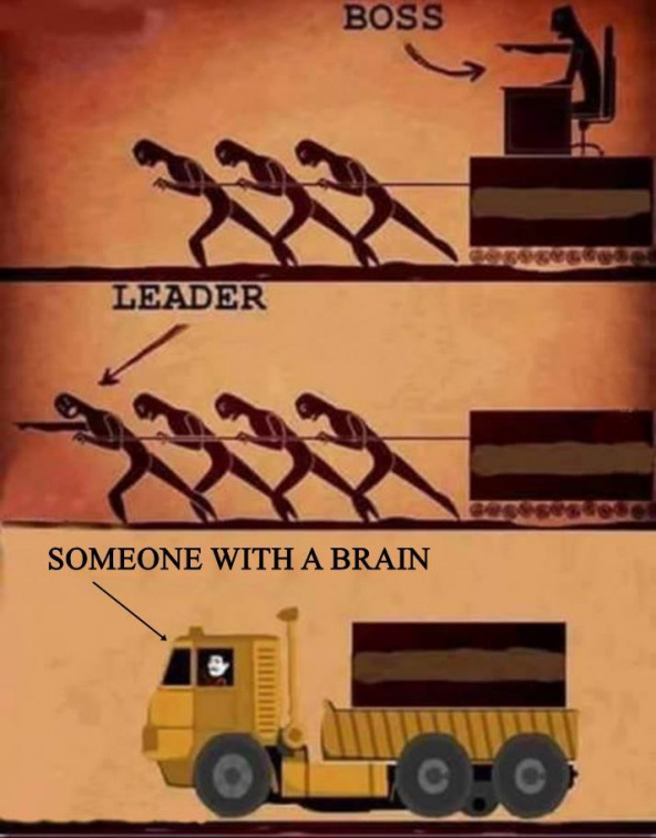 Boss, leader, brain