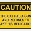 Caution cat has a gun