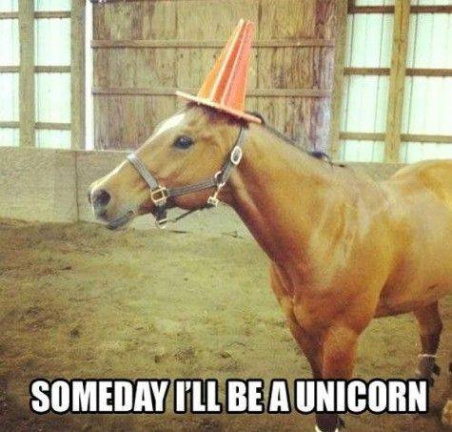 I'll be a unicorn