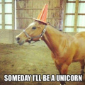 I'll be a unicorn