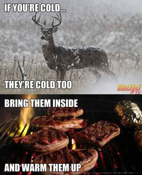 the_deer_is_cold.jpg