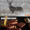The deer is cold