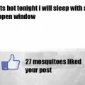 Sleeping with mosquitoes?