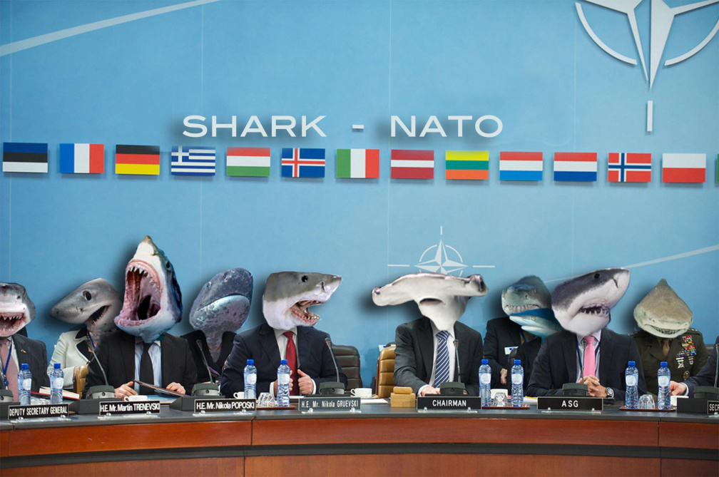The sharks from NATO
