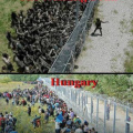 The Walking Dead vs Hungary border