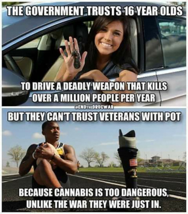 Cannabis too dangerous