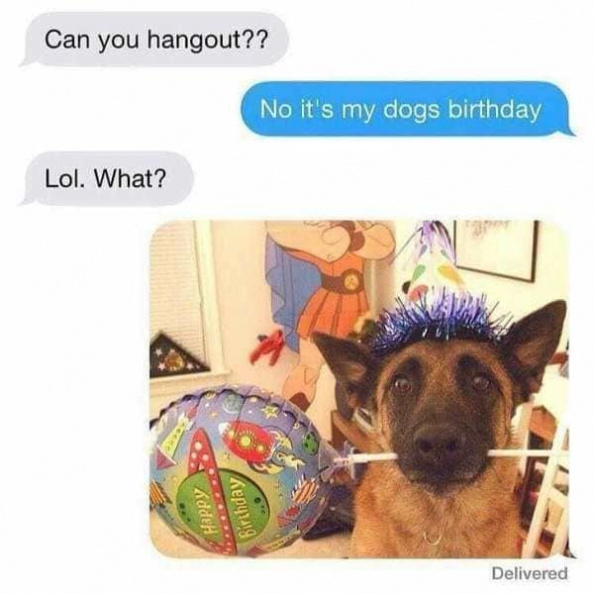 dog_birthday.jpg