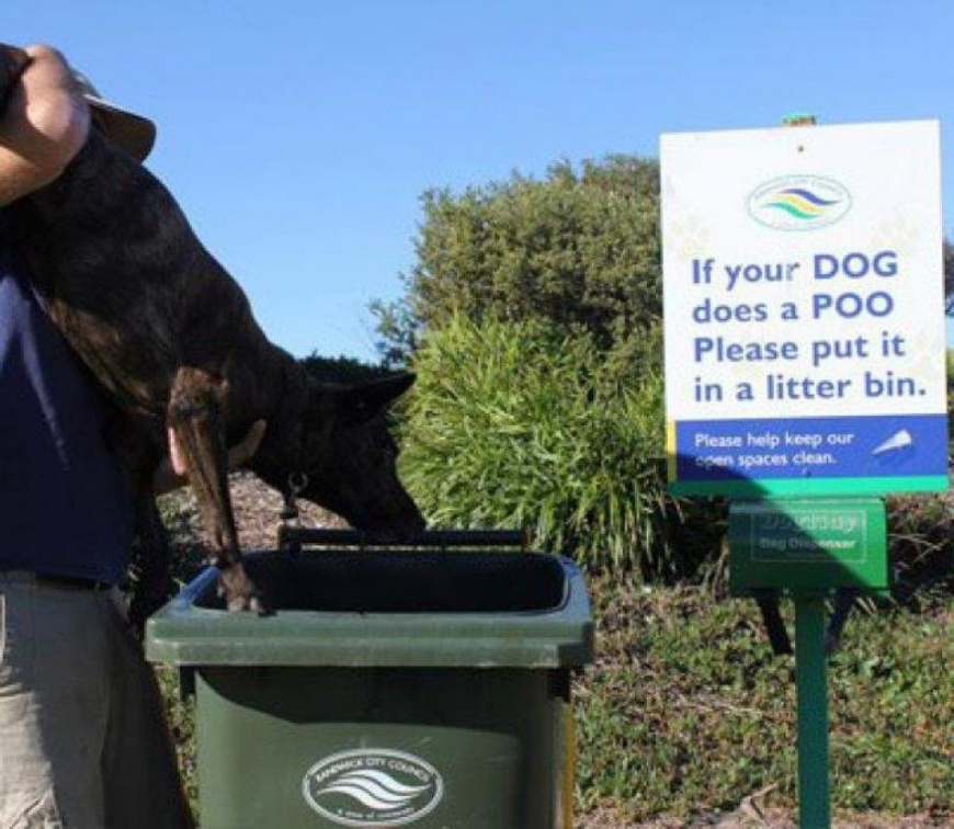 If your dog does a poo...