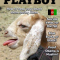 Muslim playboy
