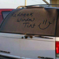 Redneck window tint