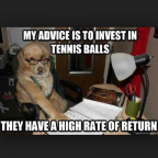 Invest in tennis balls