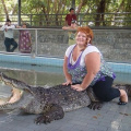 Riding a crocodile