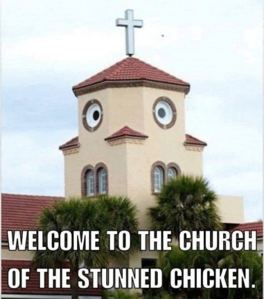 Church of stunned chicken