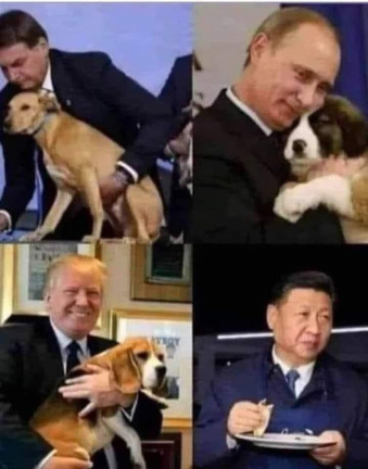 Dogs and presidents
