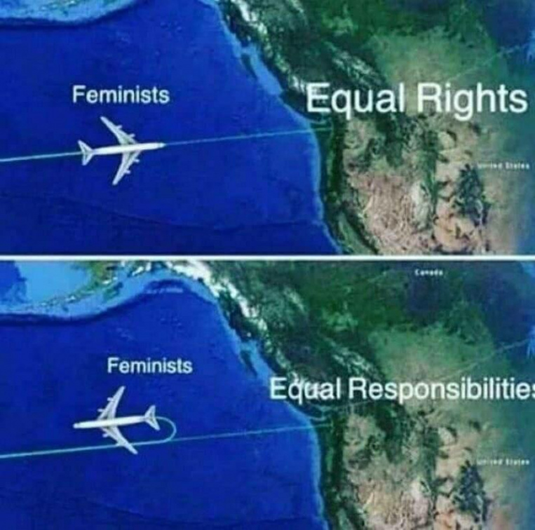 Feminists vs equal responsibilities