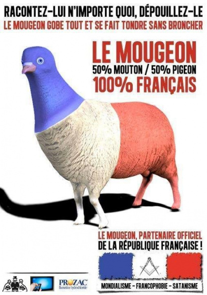 mougeon_pigeon_mouton.jpg