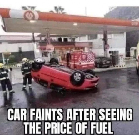 Car faints - fuel price
