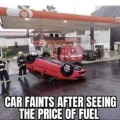 Car faints - fuel price